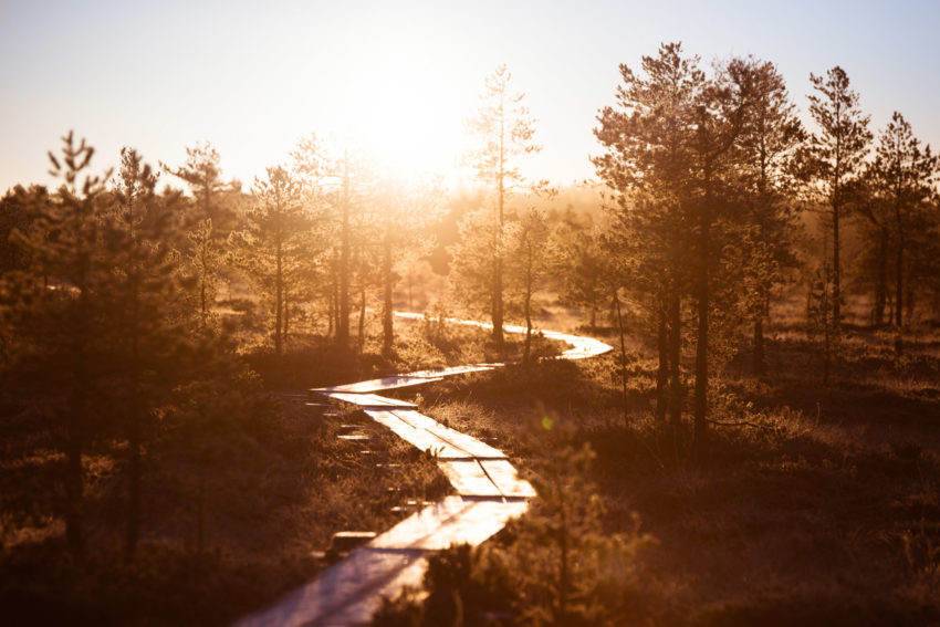 Aktiviteetit_Eerikkilä-luontokohteet